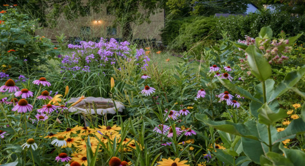 Wildflower & Native Plant Gardens, United States